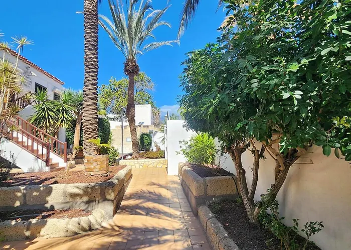 Dreaming Paraiso Royal