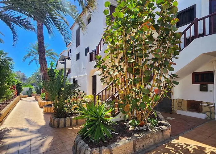 Dreaming Paraiso Royal Πλάγια ντε λας Αμέρικας